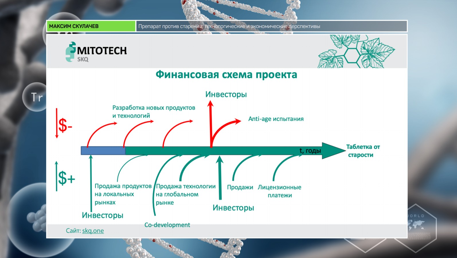 Проект ионы скулачева