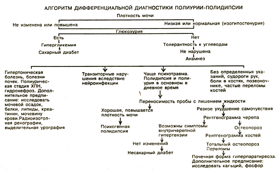 Схема лечения сахарного диабета у кошек