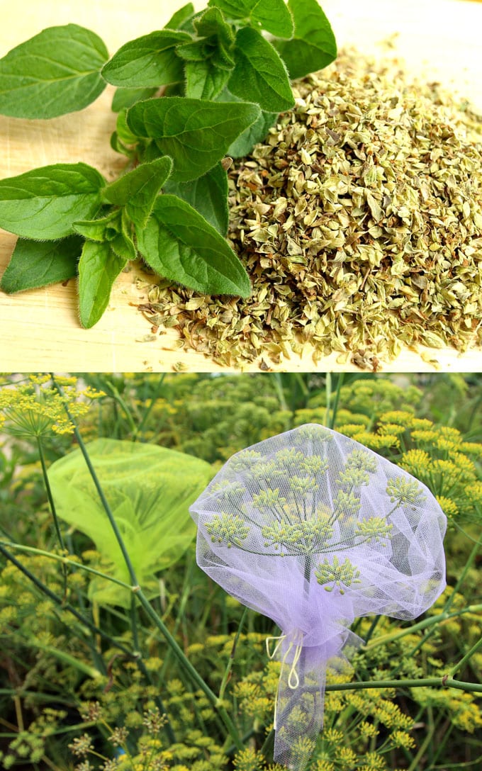 how_to_dry_herbs_apieceofrainbowblog