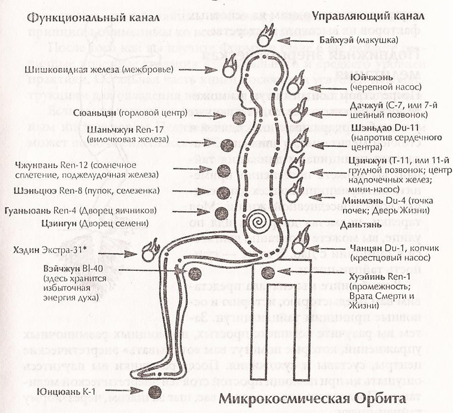 Циркуляция энергии в теле человека схема