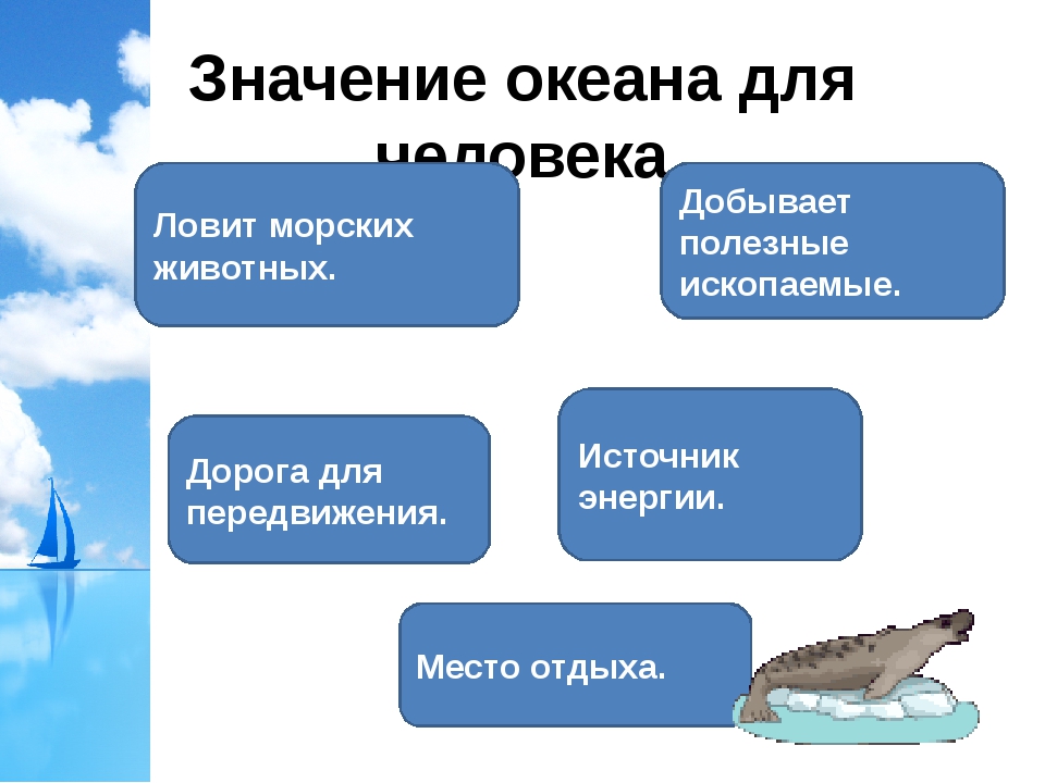 Какова роль океанических. Ценность океана для человечества. Роль мирового океана в жизни человека. Значениеокенаа для человека. Значение океана.