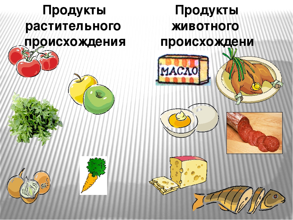 Пища окружающий. Продукты растительного происхождения. Пища растительного и животного происхождения. Дукты растительного происхождения. Продукты растительного происхождения и животного происхождения.