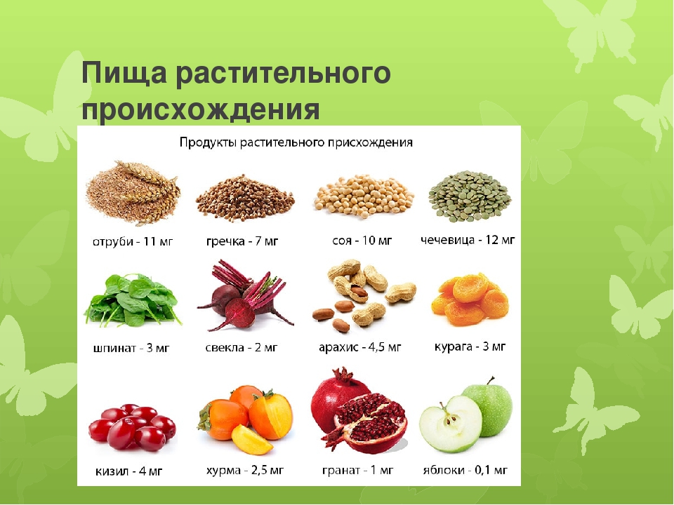5 растительных продуктов. Продукты растительного происхождения. Пища растительного происхождения. Растительное происхождение. Примеры продуктов растительного происхождения.