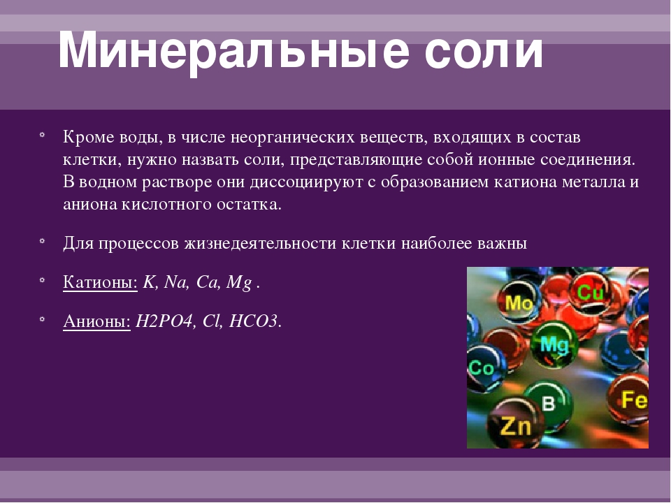 Функции неорганических веществ. Минеральные соли биология. Минеральные вещества 5 класс. Минеральные соли примеры. Состав Минеральных солей.