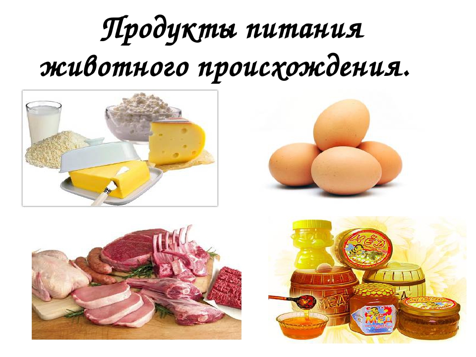 Продукты растительного происхождения