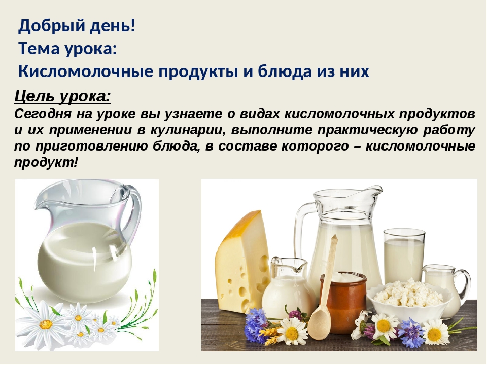 Проект по технологии кисломолочные продукты