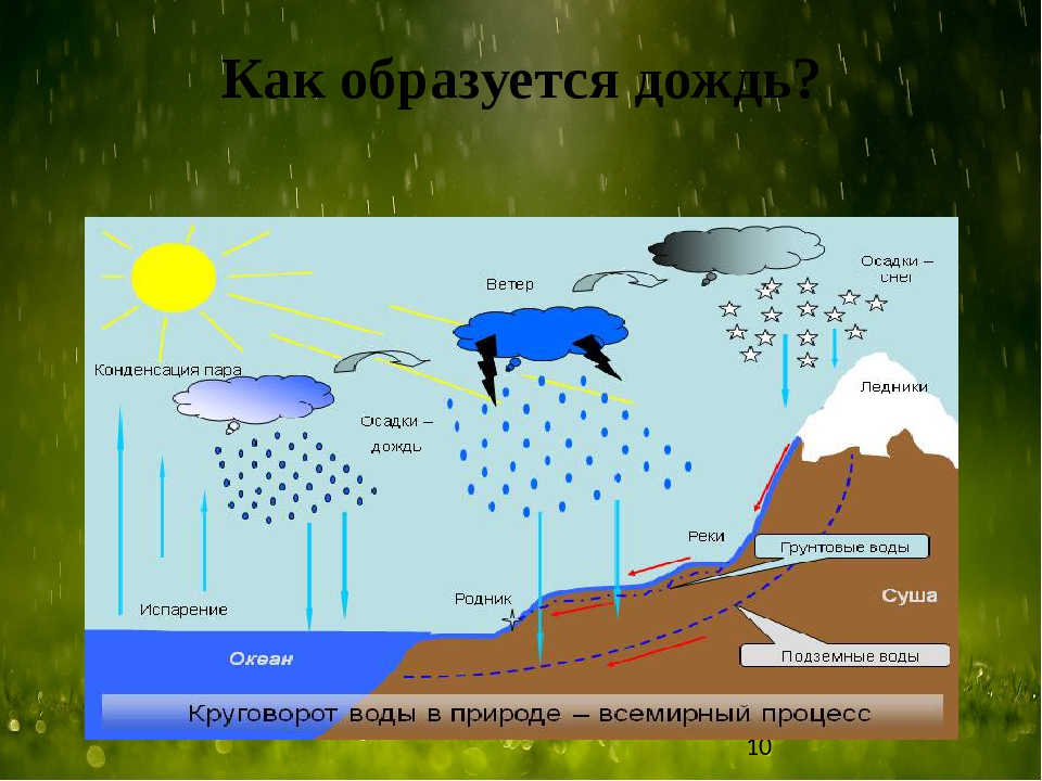 Почему появляется осадок. Процесс образования дождя. Как возникают осадки. Как образуется дождь. Схема возникновения дождя.