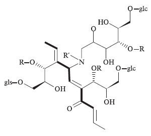 Структура фрагмента меланоидинового полимера (glc — остаток D-глюкозы)
