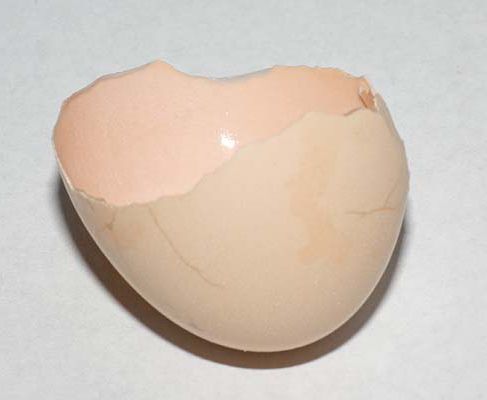 яичная скорлупа как источник кальция миф