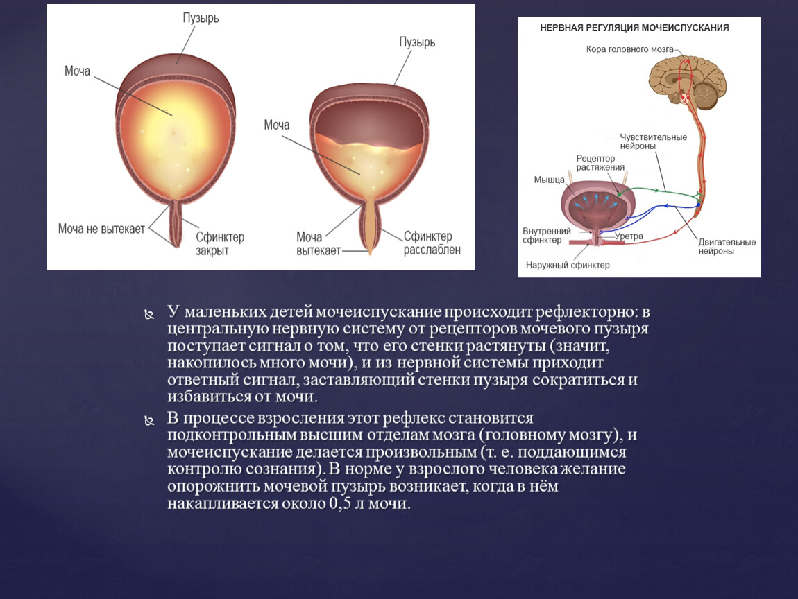 Beckenbodentraining prostata