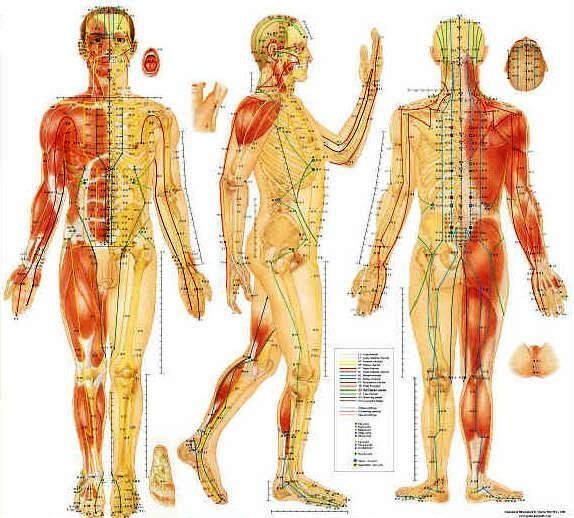 Китайская медицина точки на теле и их значение картинки на русском языке