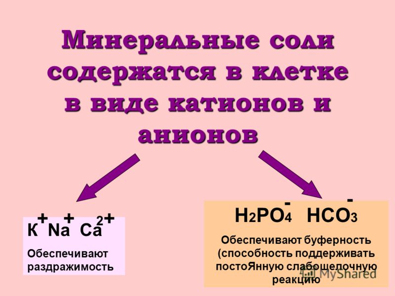 Минеральные вещества и их роль в клетке презентация