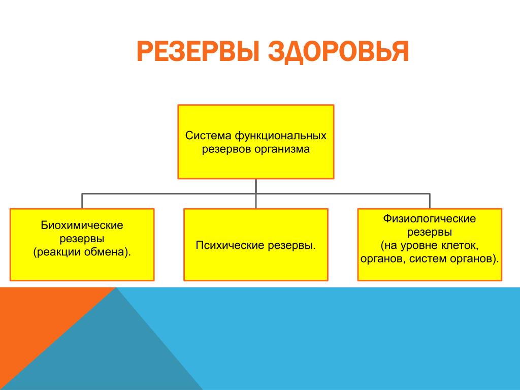 Системы здоровья человека. Функциональные резервы организма. Физиологические резервы организма. Система функциональных резервов организма. Подсистем функциональных резервов организма.