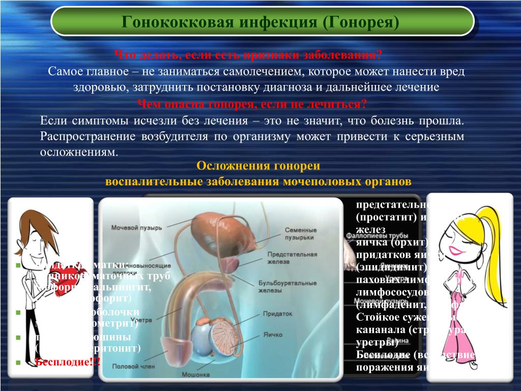 Половые заболевания картинки