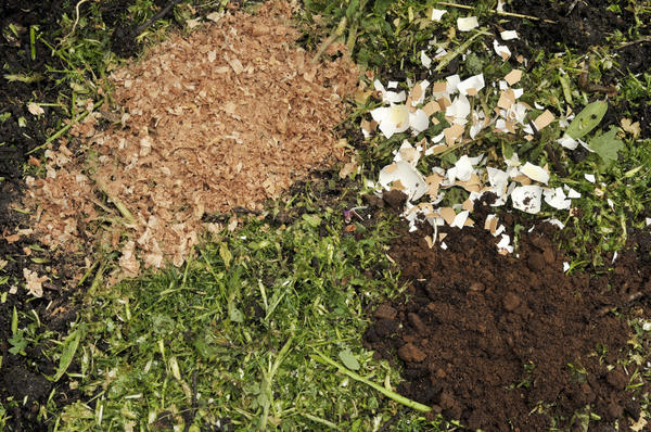 Яичную скорлупу лучше вносить в почву под осеннюю перекопку вместе с другими удобрениями