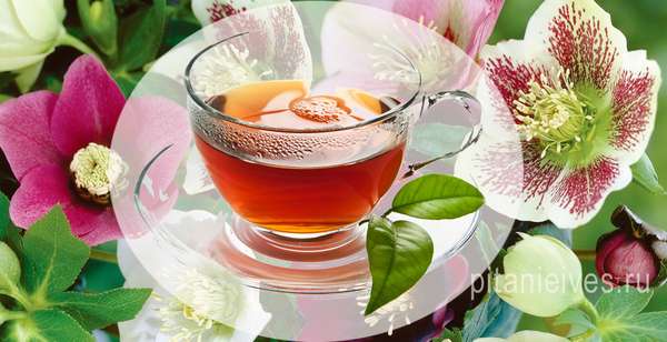 Чай - Как принимать морозник для похудения