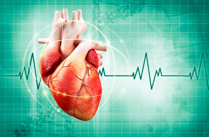 Нормальное сердцебиение человека - 60-80 ударов в минуту