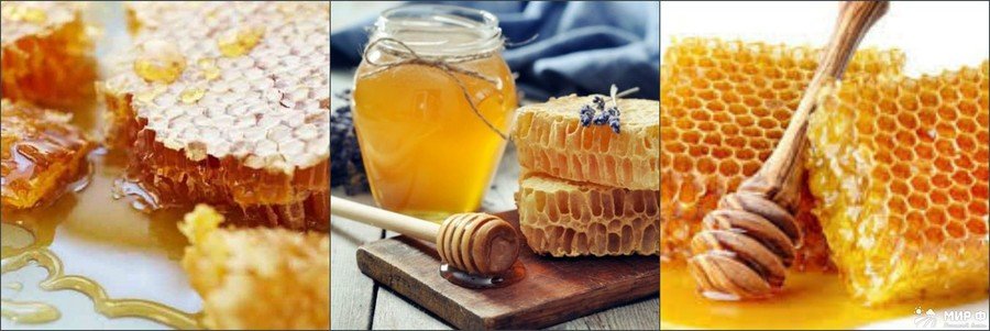 Мед в сотах полезные свойства