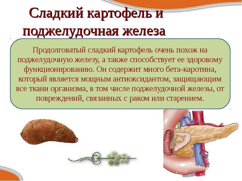 Влияние печени на поджелудочную железу. Сладкое и поджелудочная железа. Что любит поджелудочная железа. Сладкий картофель для поджелудочной железы.