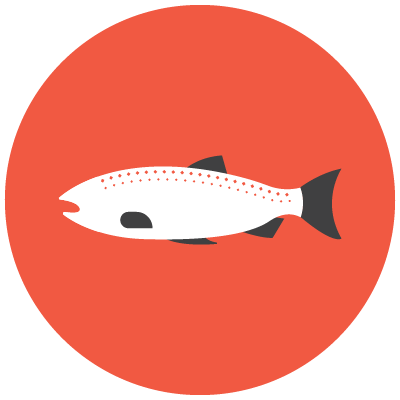 продукты для здоровья глаз - Рыба