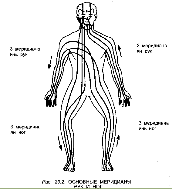 Энергетические каналы и меридианы человека схема и направления