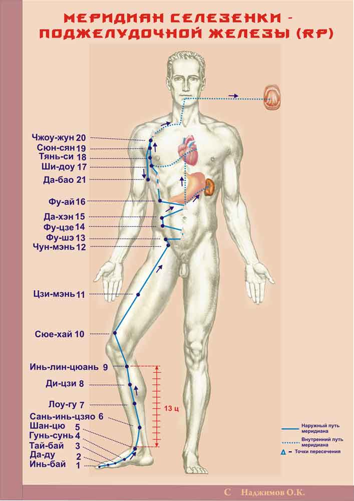 Самые важные точки. Меридианы органов человека. Атлас энергетических меридианов человека. Меридианы органов человека атлас. Меридианы в китайской медицине.