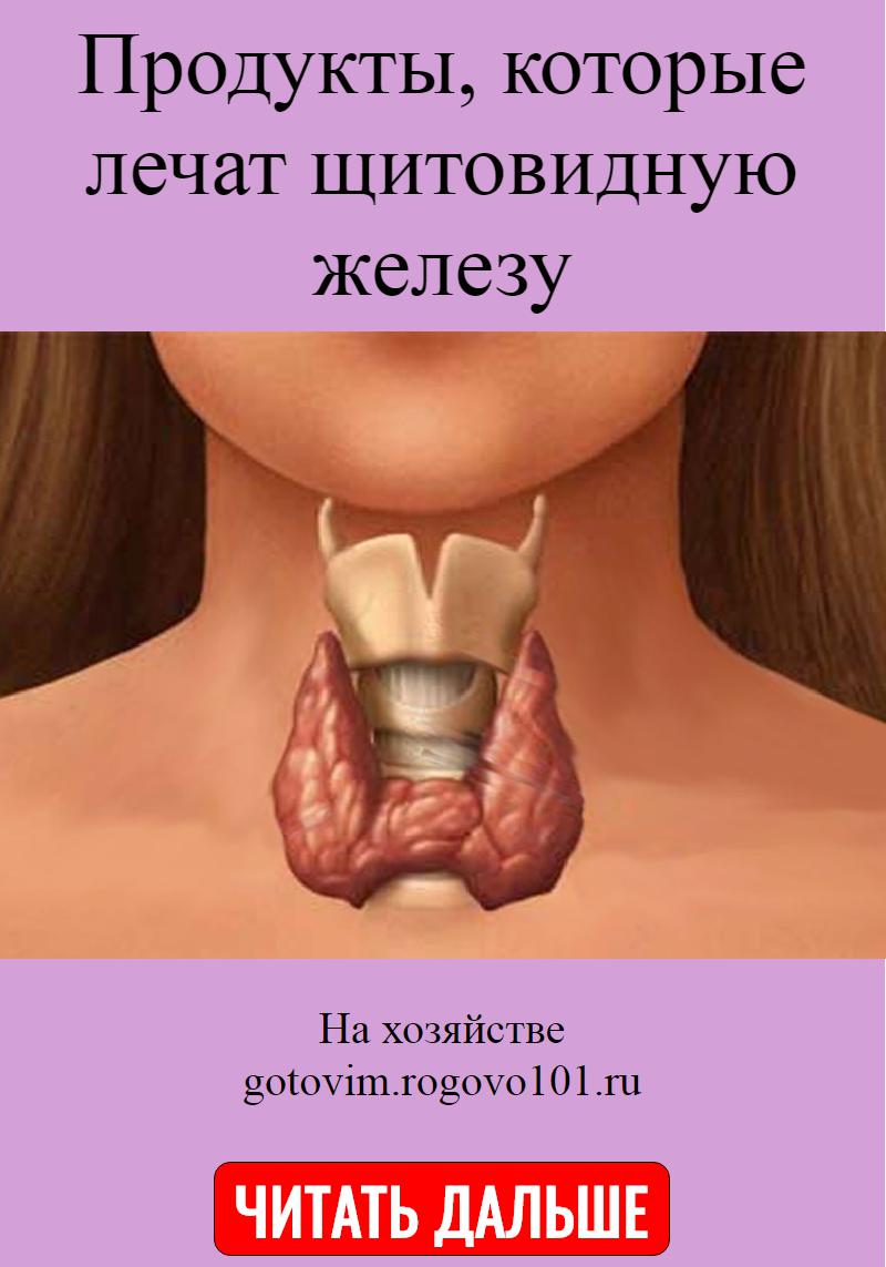 Как выглядит щитовидная железа у женщин фото