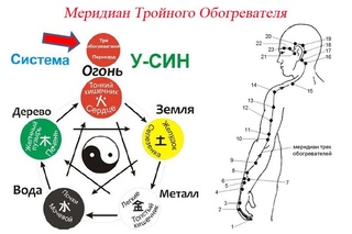 Меридианы на теле человека схема китайская медицина