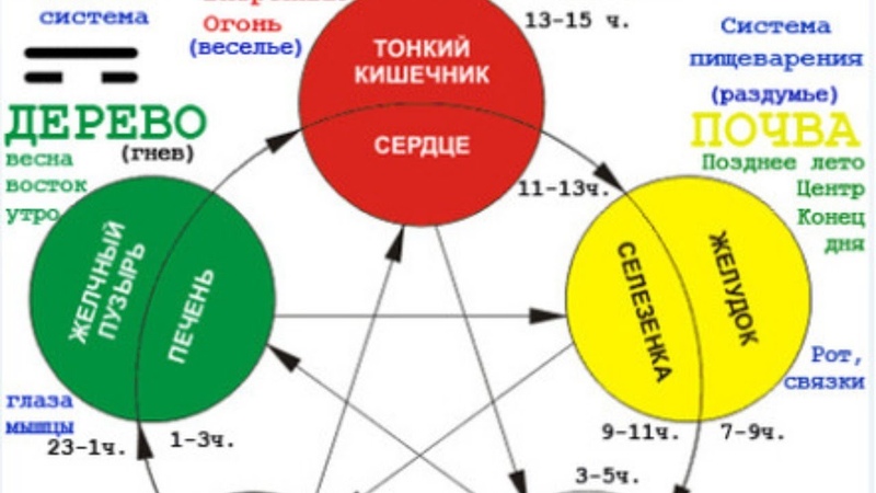 У син схема