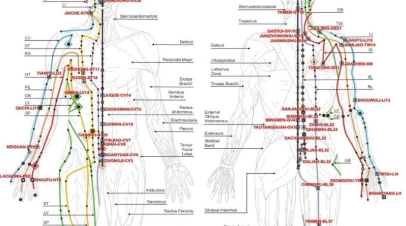 Меридианы человека схема и направления китайская медицина для массажа