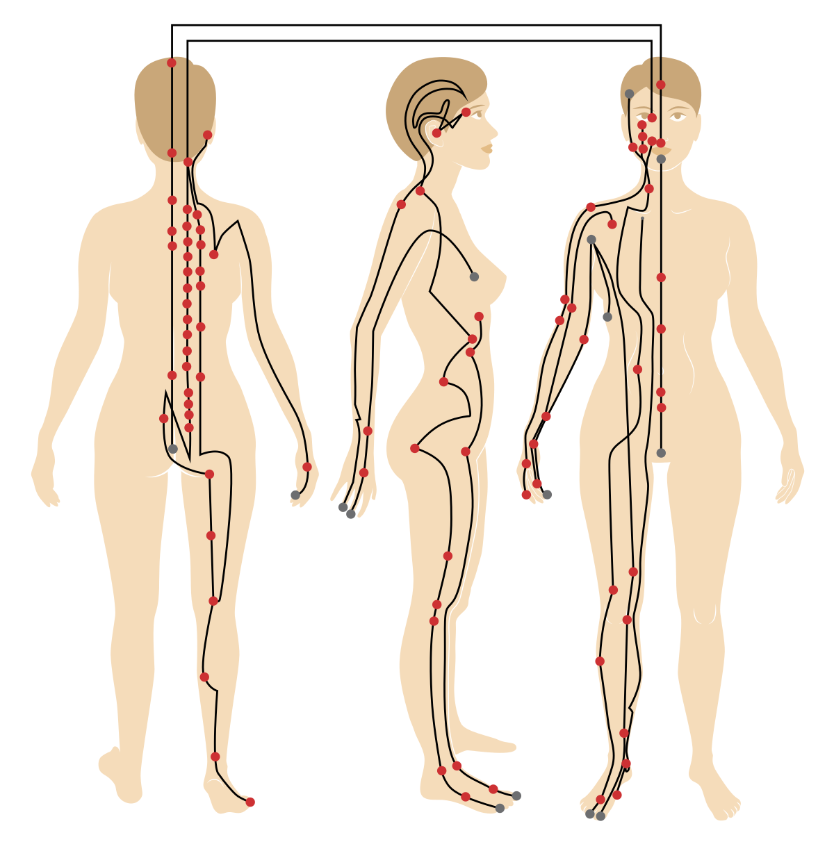 Меридианы на теле человека схема