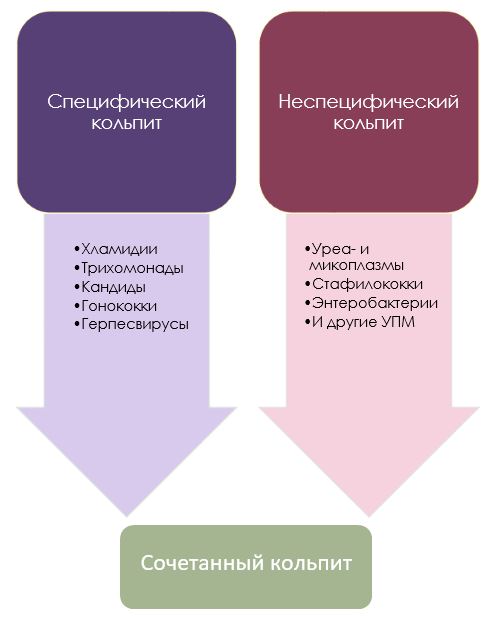 Кольпит что это. Кольпит классификация. Вагинит классификация. Классификация кольпитов. Специфический кольпит.