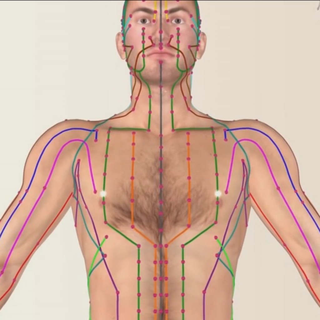 Меридианы человека схема и направления китайская медицина для массажа