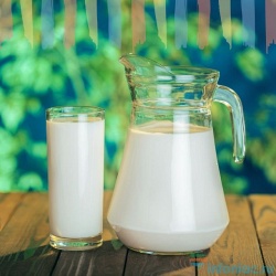 Молоко с чесноком – лучшие рецепты для сохранения молодости и здоровья