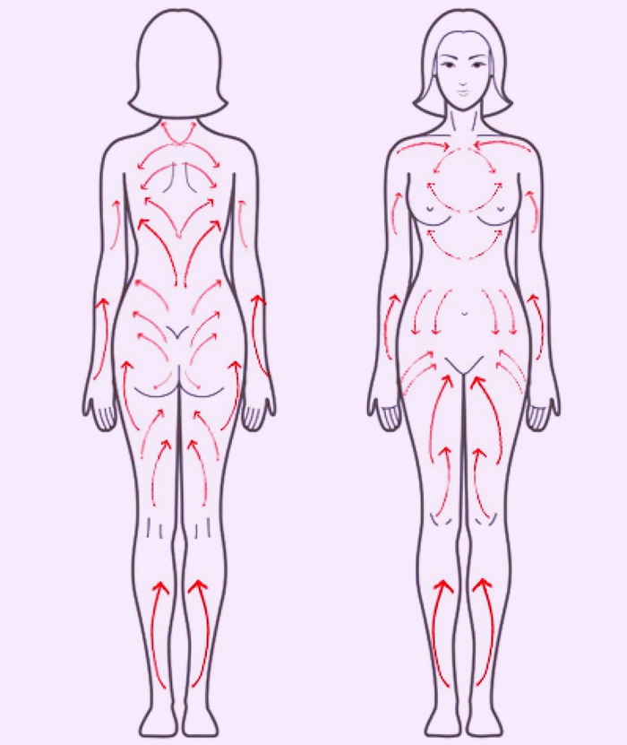 Лимфатическая система лица и шеи схема циркуляции и массажных движений