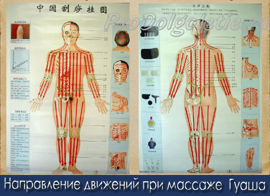 Направление движений при массаже Гуаша