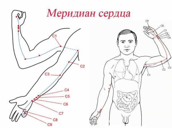 Меридианы на теле человека схема китайская медицина